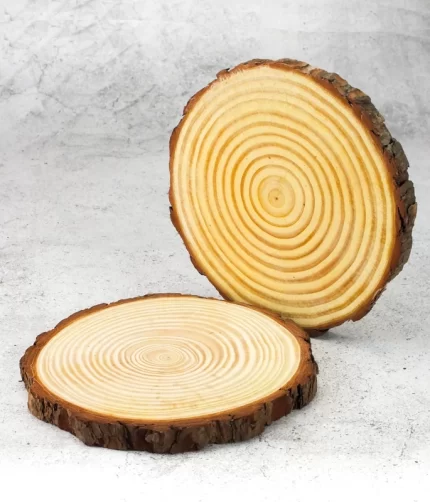 Fa szeletelt korongok 3db